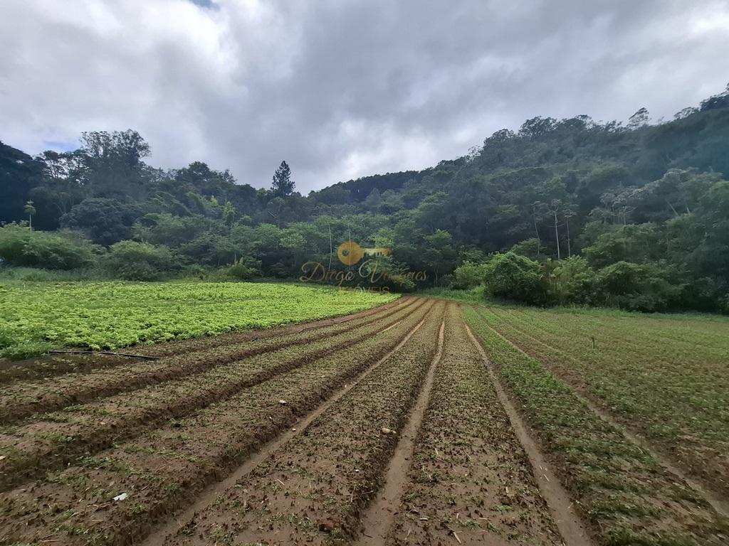 Outros à venda em Venda Nova, Teresópolis - RJ - Foto 44