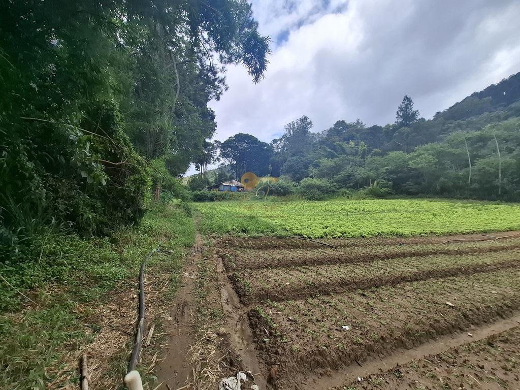 Outros à venda em Venda Nova, Teresópolis - RJ - Foto 49