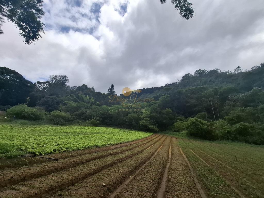 Outros à venda em Venda Nova, Teresópolis - RJ - Foto 50