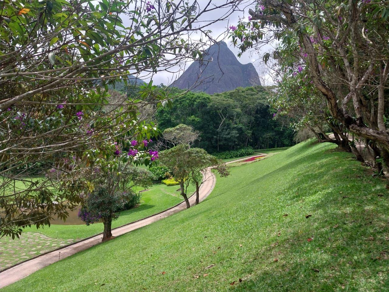 Imóvel Comercial à venda em Corrêas, Petrópolis - RJ - Foto 4