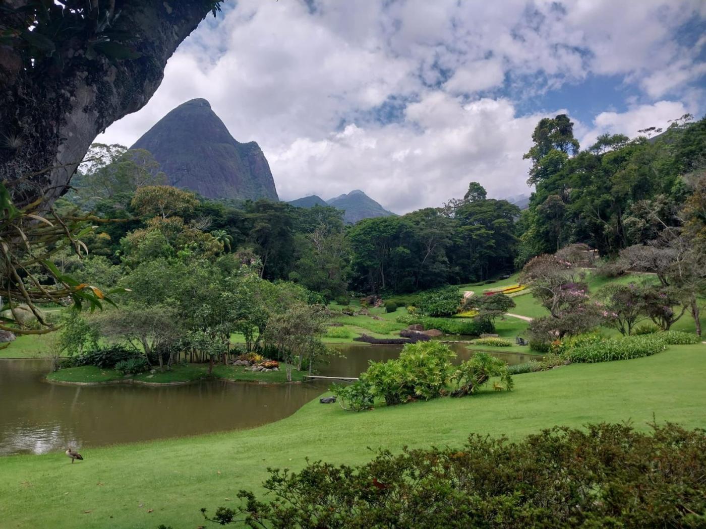 Imóvel Comercial à venda em Corrêas, Petrópolis - RJ - Foto 7