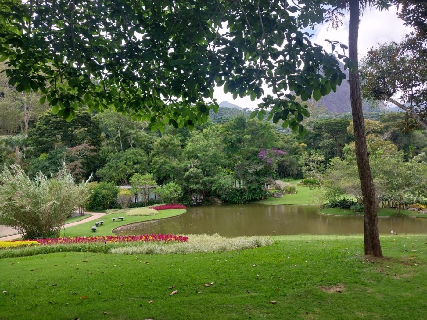 Imóvel Comercial à venda em Corrêas, Petrópolis - RJ - Foto 6