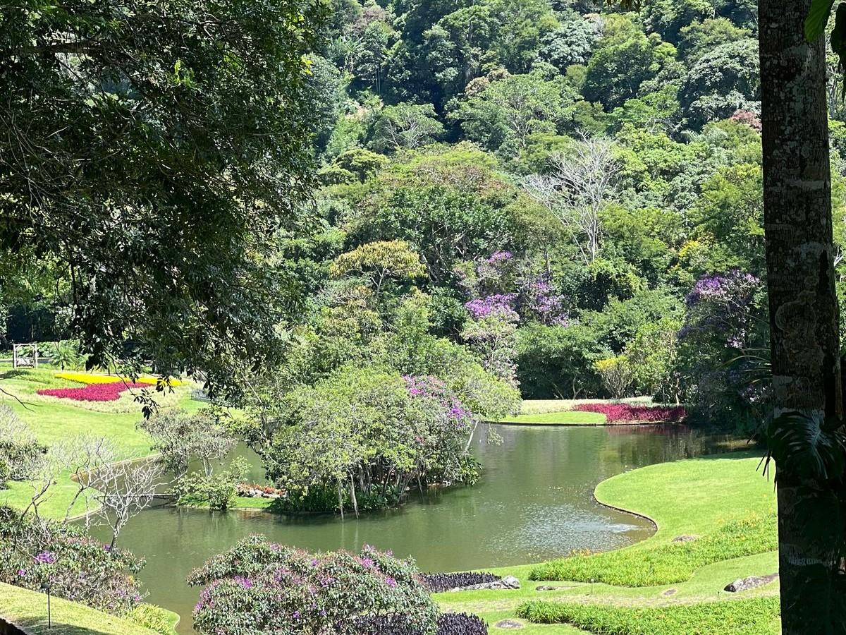 Imóvel Comercial à venda em Corrêas, Petrópolis - RJ - Foto 4