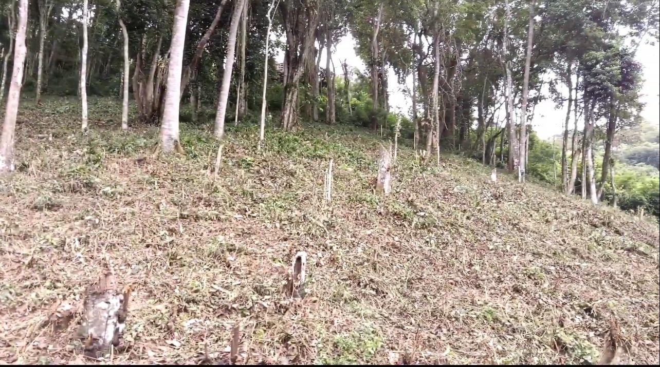 Terreno Residencial à venda em Itaipava, Petrópolis - RJ