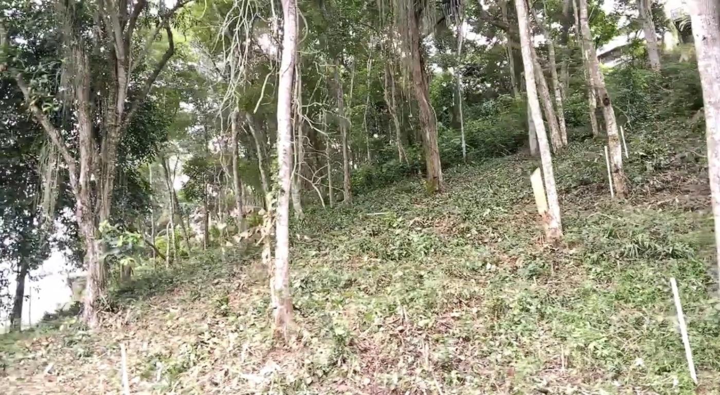 Terreno Residencial à venda em Itaipava, Petrópolis - RJ - Foto 3