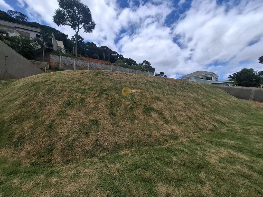 Terreno Residencial à venda em Prata, Teresópolis - RJ - Foto 11