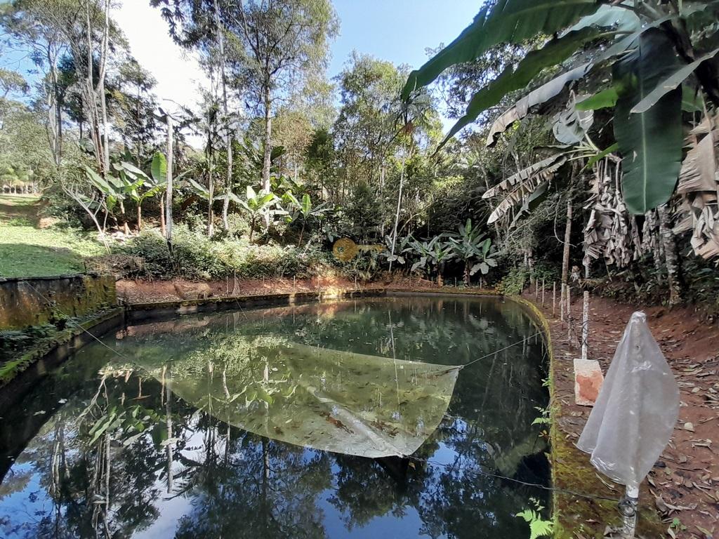 Terreno Residencial à venda em Prata dos Aredes, Teresópolis - RJ