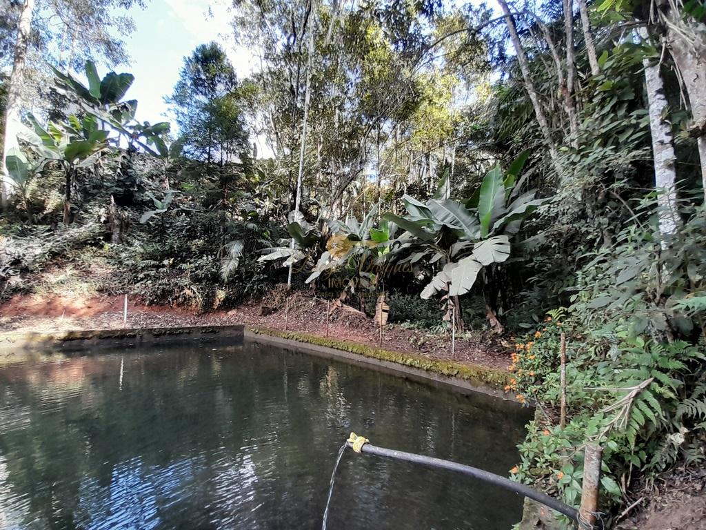 Terreno Residencial à venda em Prata dos Aredes, Teresópolis - RJ - Foto 5