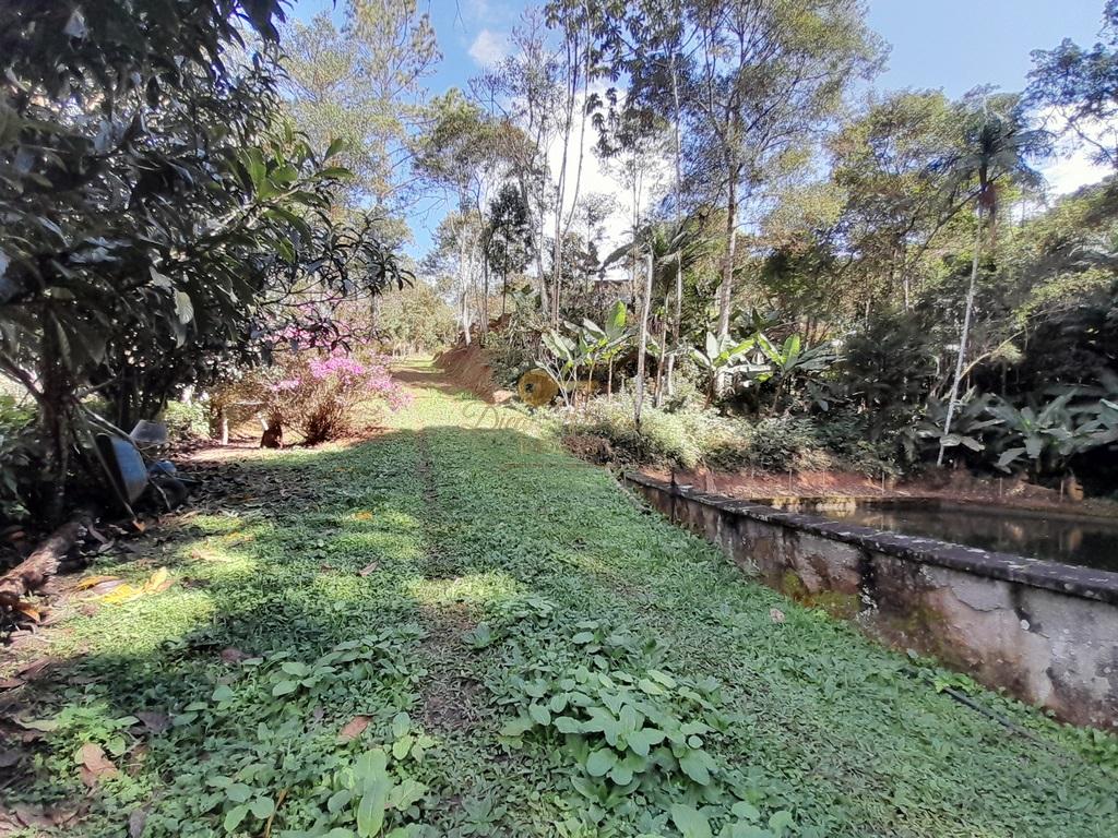 Terreno Residencial à venda em Prata dos Aredes, Teresópolis - RJ - Foto 8
