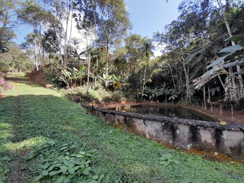 Terreno Residencial à venda em Prata dos Aredes, Teresópolis - RJ - Foto 7