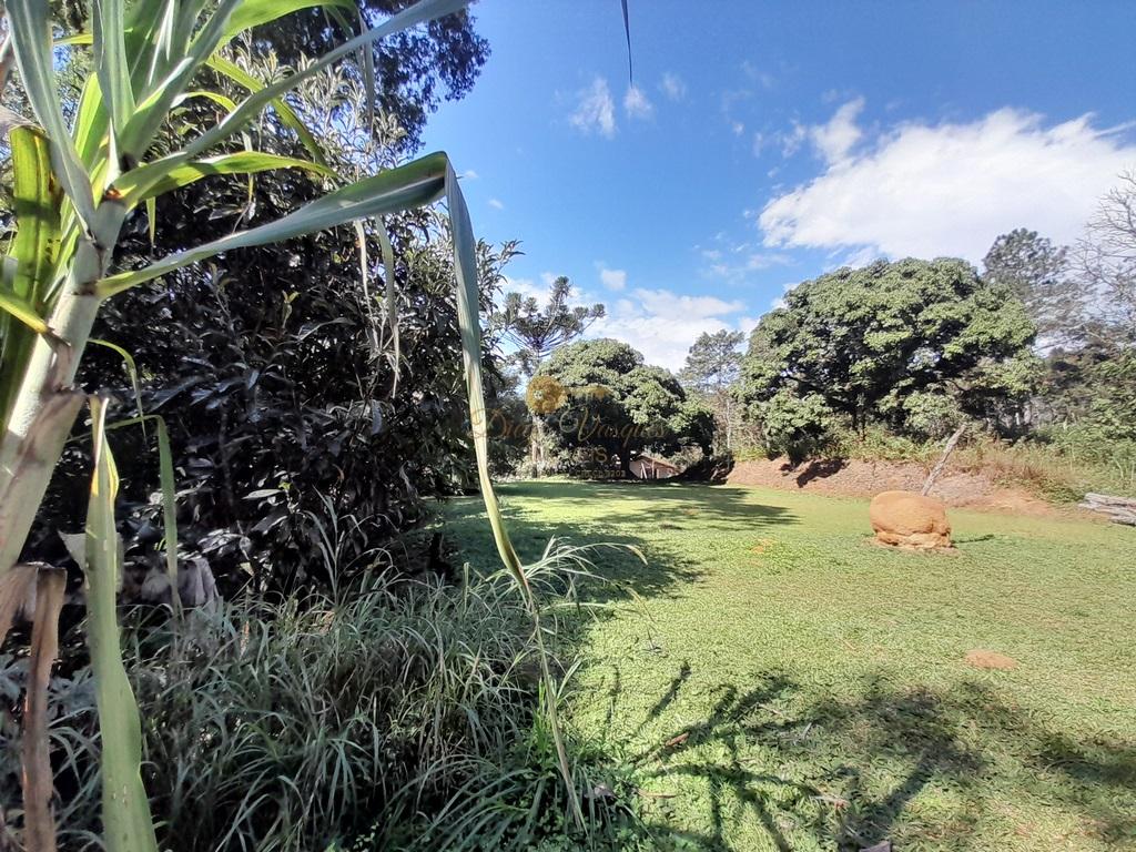 Terreno Residencial à venda em Prata dos Aredes, Teresópolis - RJ - Foto 12