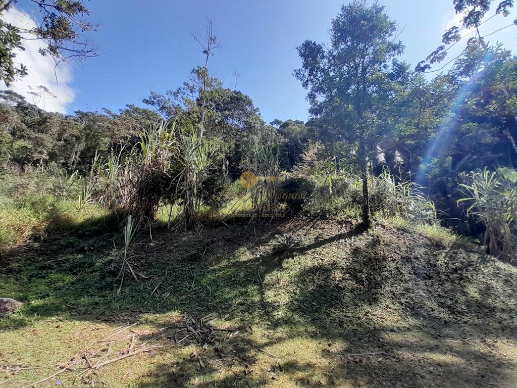 Terreno Residencial à venda em Prata dos Aredes, Teresópolis - RJ - Foto 14