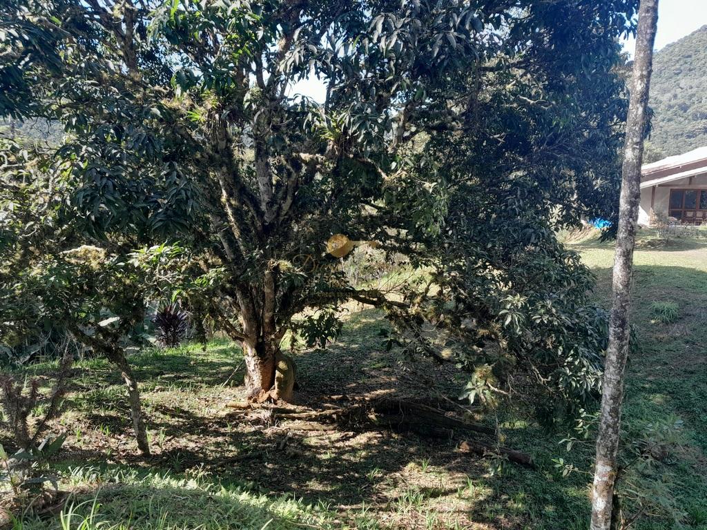 Terreno Residencial à venda em Prata dos Aredes, Teresópolis - RJ - Foto 18