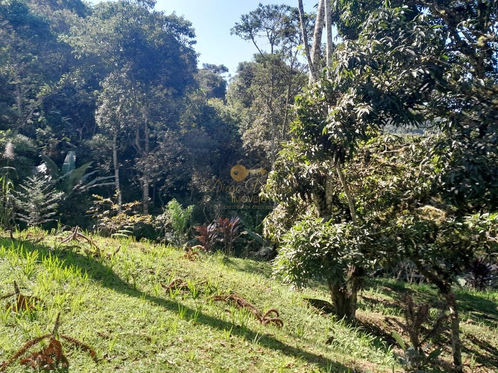 Terreno Residencial à venda em Prata dos Aredes, Teresópolis - RJ - Foto 19