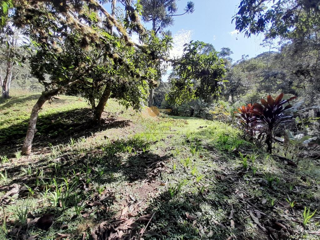 Terreno Residencial à venda em Prata dos Aredes, Teresópolis - RJ - Foto 20
