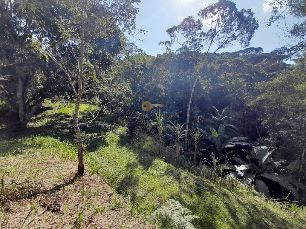 Terreno Residencial à venda em Prata dos Aredes, Teresópolis - RJ - Foto 23