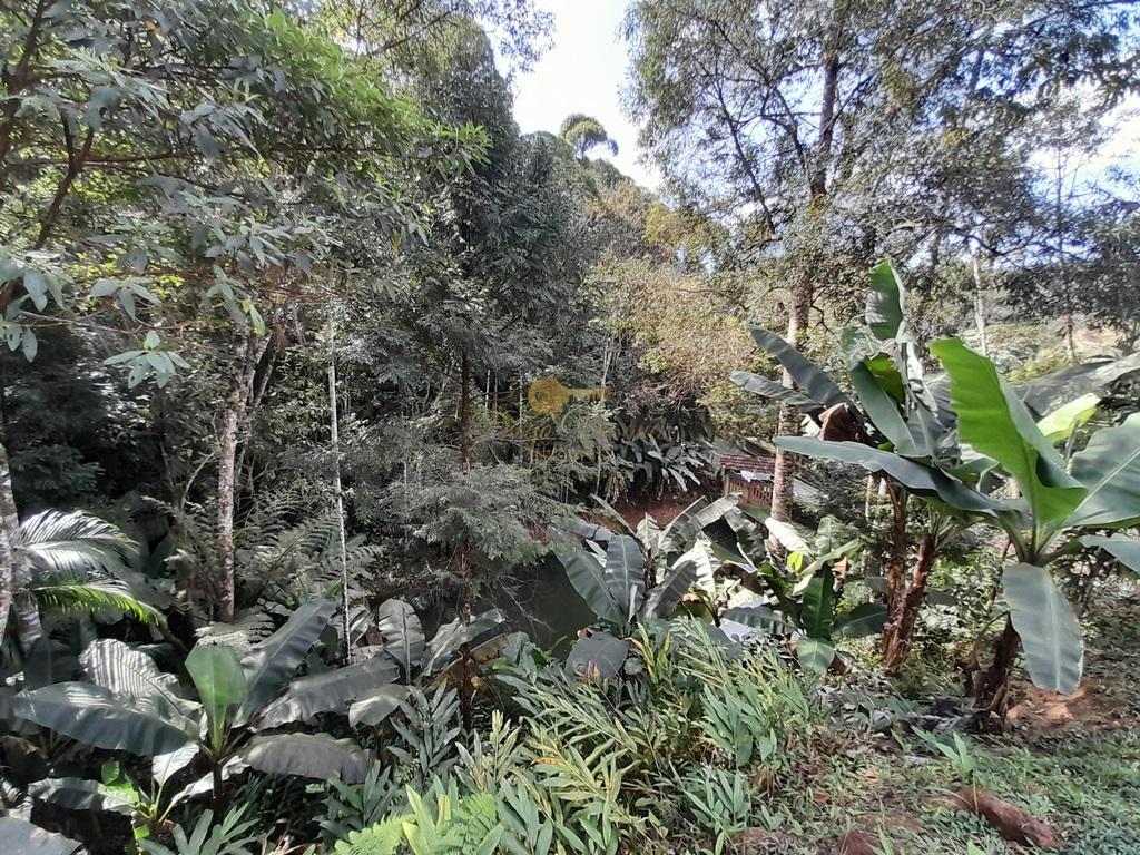Terreno Residencial à venda em Prata dos Aredes, Teresópolis - RJ - Foto 33