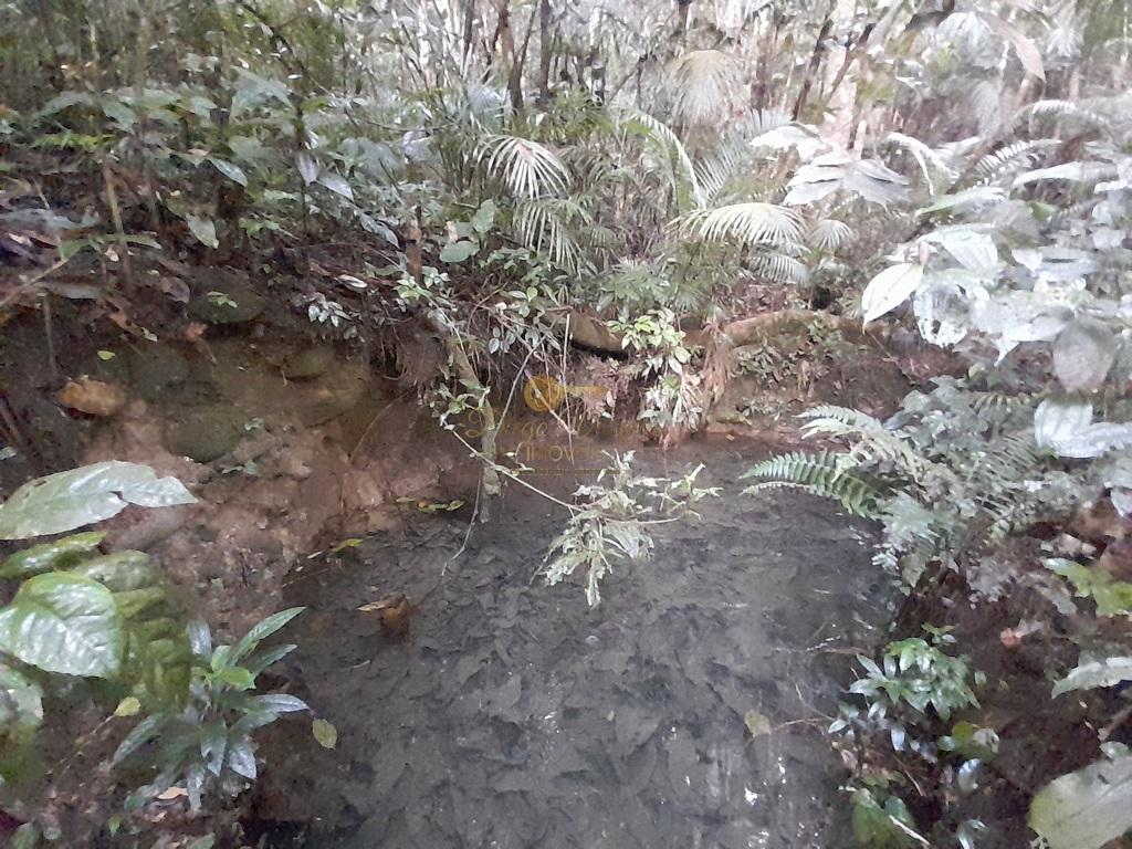 Terreno Residencial à venda em Prata dos Aredes, Teresópolis - RJ - Foto 41