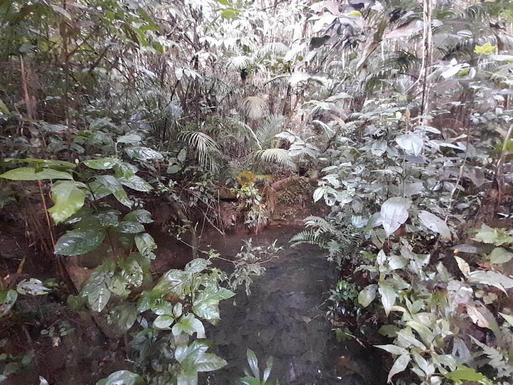 Terreno Residencial à venda em Prata dos Aredes, Teresópolis - RJ - Foto 40