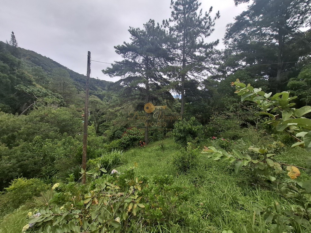 Terreno Residencial à venda em Córrego das Pedras, Teresópolis - RJ - Foto 4