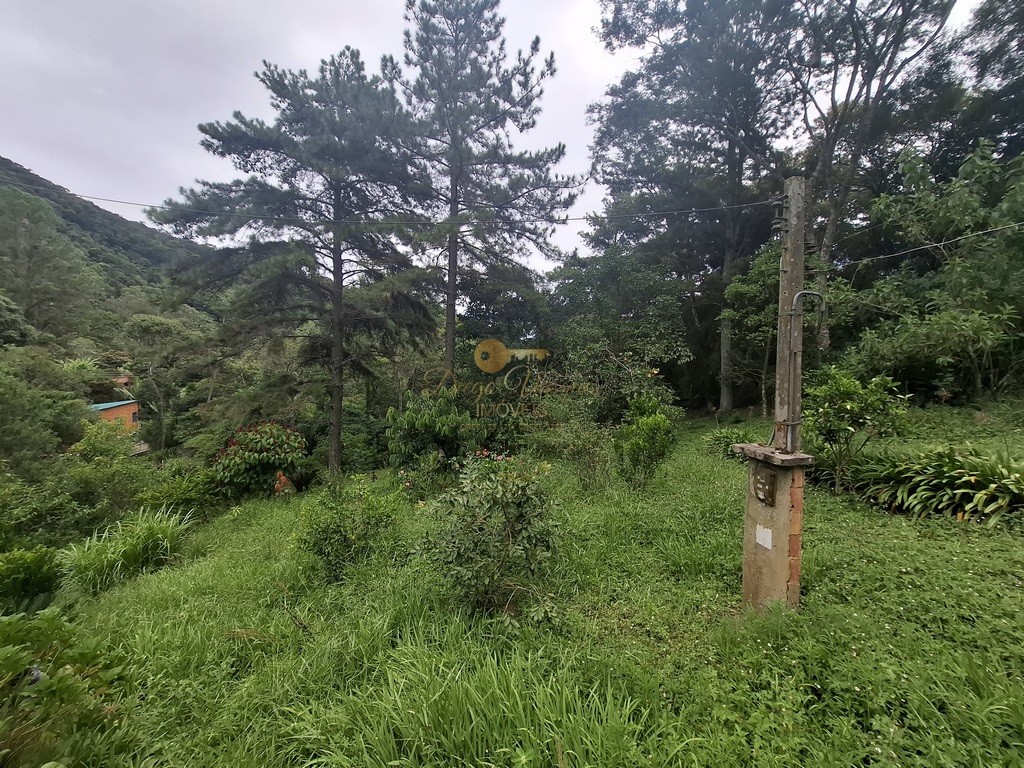 Terreno Residencial à venda em Córrego das Pedras, Teresópolis - RJ - Foto 3
