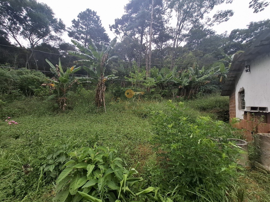 Terreno Residencial à venda em Córrego das Pedras, Teresópolis - RJ - Foto 6