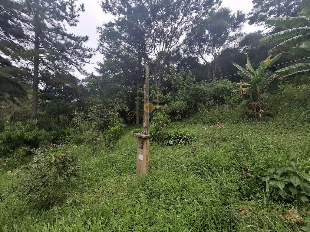 Terreno Residencial à venda em Córrego das Pedras, Teresópolis - RJ - Foto 5