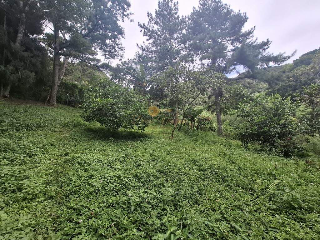Terreno Residencial à venda em Córrego das Pedras, Teresópolis - RJ - Foto 8