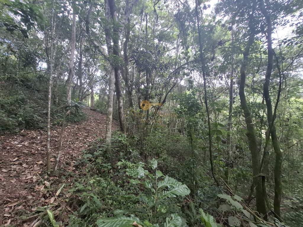 Terreno Residencial à venda em Córrego das Pedras, Teresópolis - RJ - Foto 10