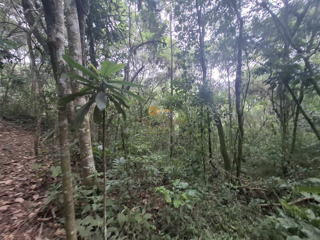 Terreno Residencial à venda em Córrego das Pedras, Teresópolis - RJ - Foto 12