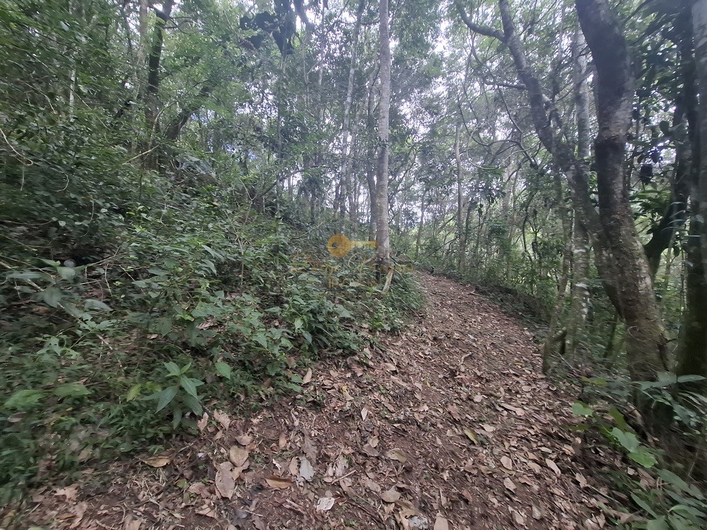 Terreno Residencial à venda em Córrego das Pedras, Teresópolis - RJ - Foto 11