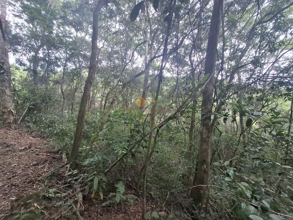 Terreno Residencial à venda em Córrego das Pedras, Teresópolis - RJ - Foto 13