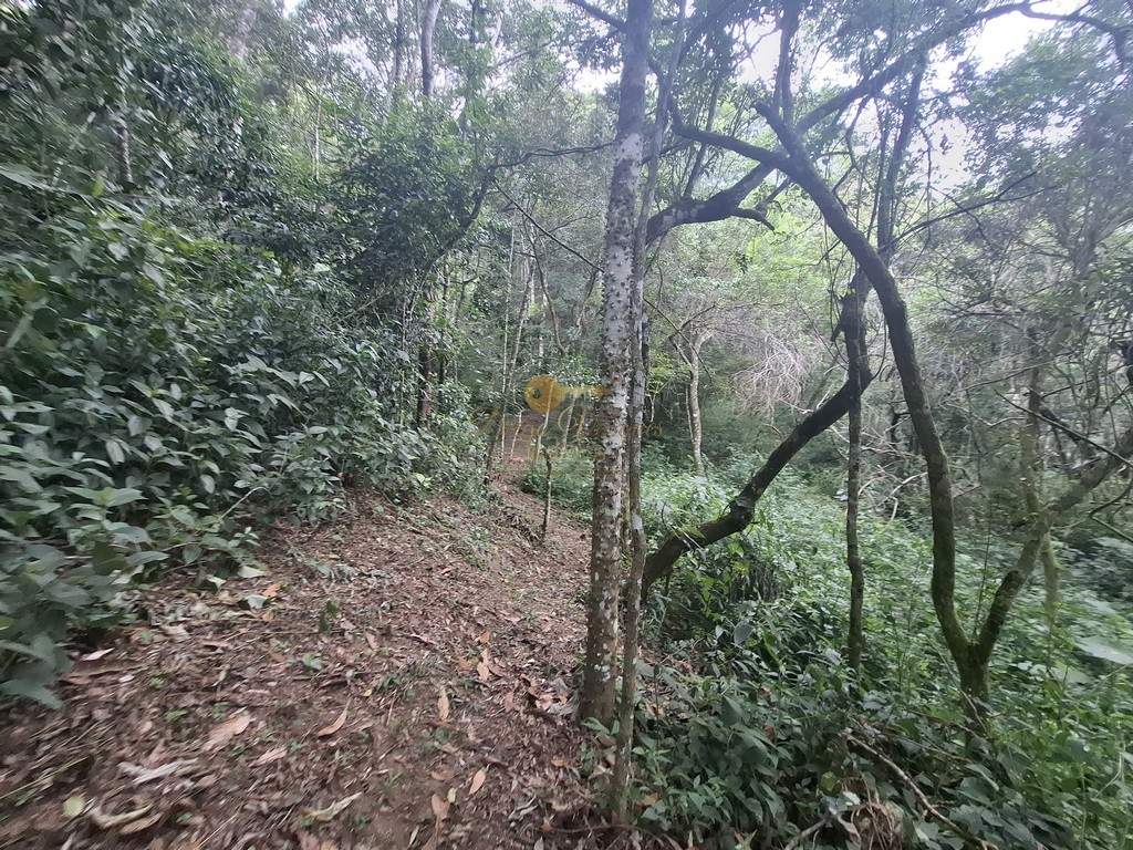 Terreno Residencial à venda em Córrego das Pedras, Teresópolis - RJ - Foto 15