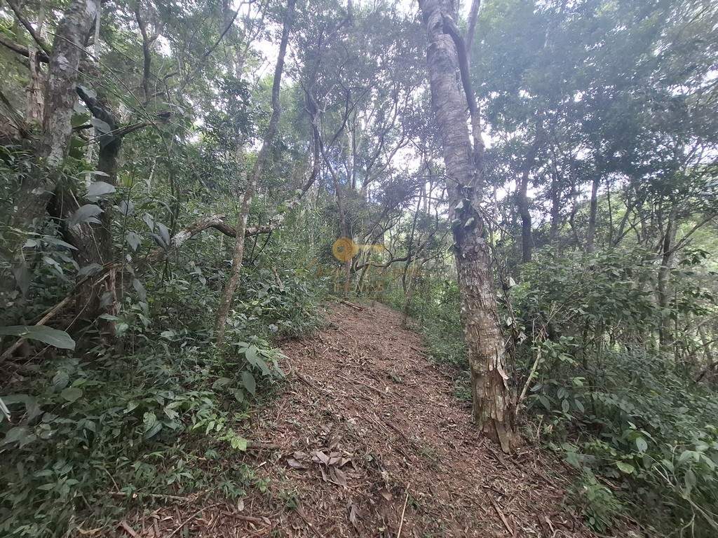 Terreno Residencial à venda em Córrego das Pedras, Teresópolis - RJ - Foto 14