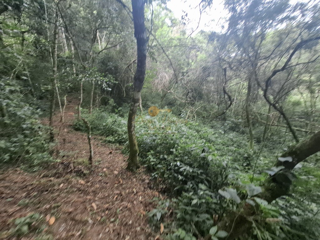 Terreno Residencial à venda em Córrego das Pedras, Teresópolis - RJ - Foto 16
