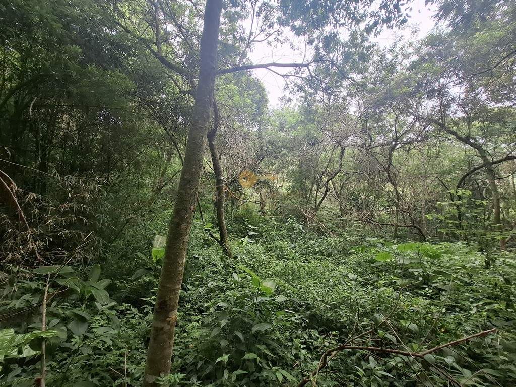 Terreno Residencial à venda em Córrego das Pedras, Teresópolis - RJ - Foto 17