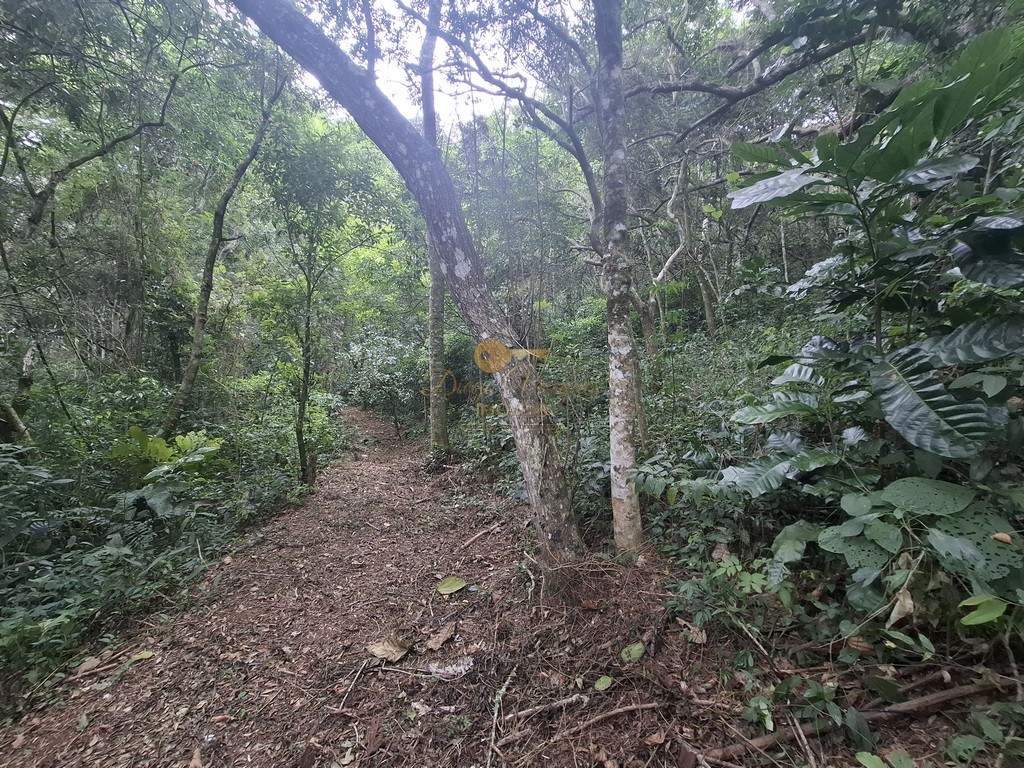 Terreno Residencial à venda em Córrego das Pedras, Teresópolis - RJ - Foto 19