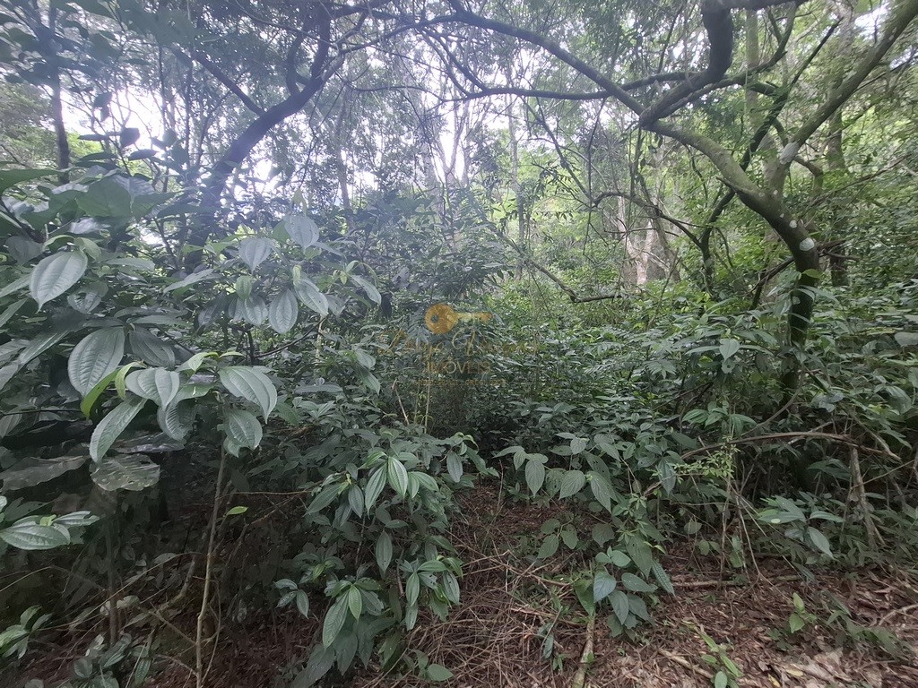 Terreno Residencial à venda em Córrego das Pedras, Teresópolis - RJ - Foto 18