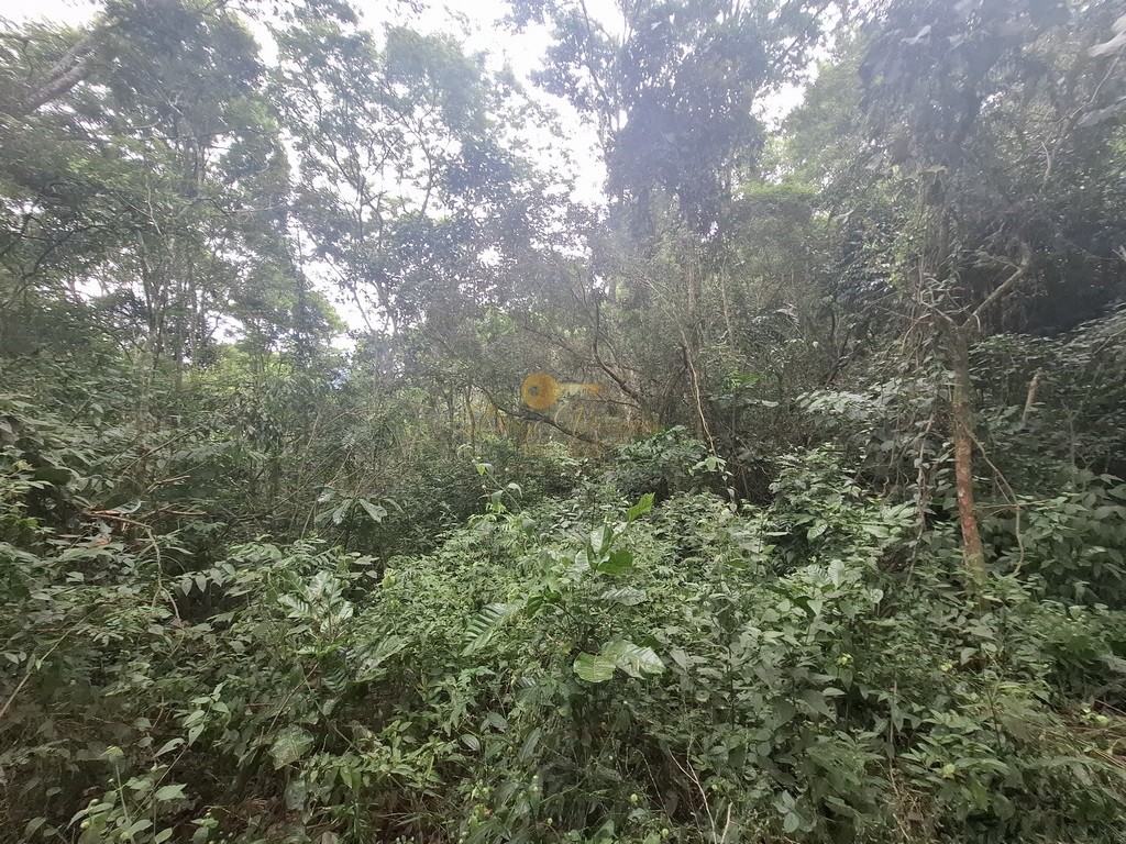 Terreno Residencial à venda em Córrego das Pedras, Teresópolis - RJ - Foto 20