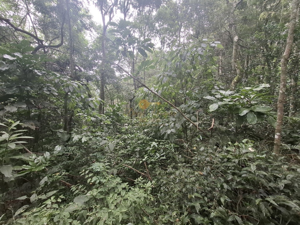 Terreno Residencial à venda em Córrego das Pedras, Teresópolis - RJ - Foto 21