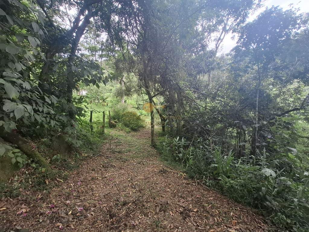Terreno Residencial à venda em Córrego das Pedras, Teresópolis - RJ - Foto 23