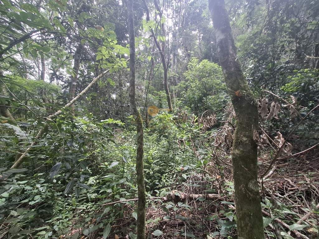 Terreno Residencial à venda em Córrego das Pedras, Teresópolis - RJ - Foto 22