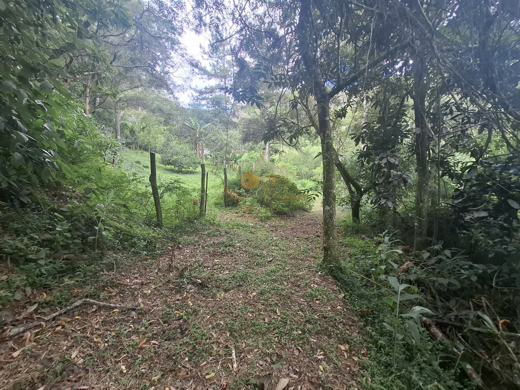 Terreno Residencial à venda em Córrego das Pedras, Teresópolis - RJ - Foto 24