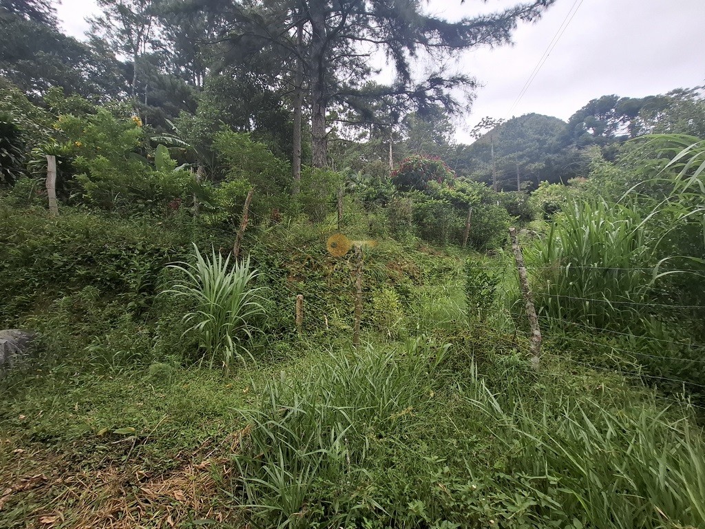 Terreno Residencial à venda em Córrego das Pedras, Teresópolis - RJ - Foto 25