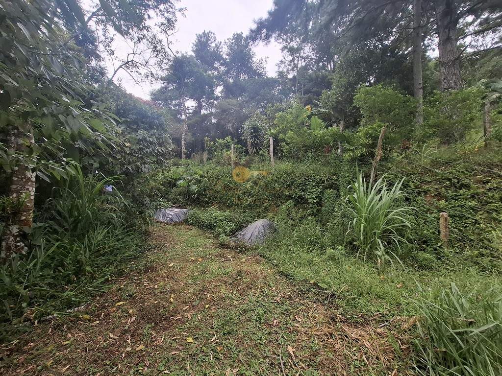 Terreno Residencial à venda em Córrego das Pedras, Teresópolis - RJ - Foto 26