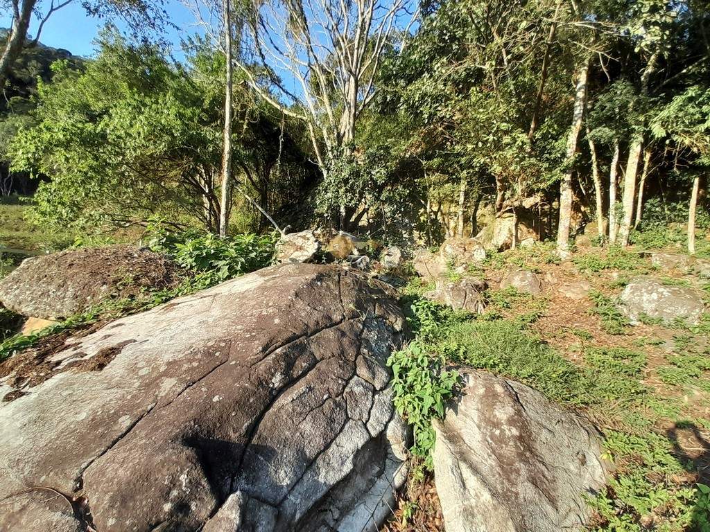 Outros à venda em Córrego das Pedras, Teresópolis - RJ - Foto 25