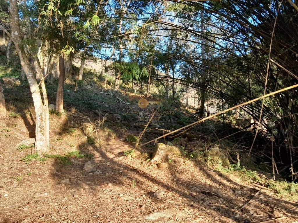 Outros à venda em Córrego das Pedras, Teresópolis - RJ - Foto 28