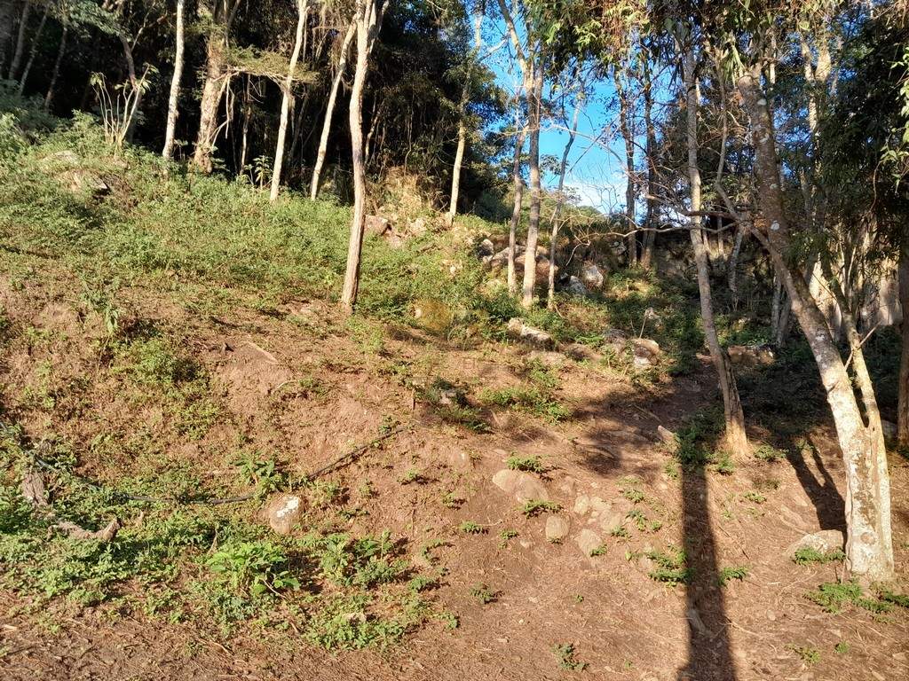 Outros à venda em Córrego das Pedras, Teresópolis - RJ - Foto 29