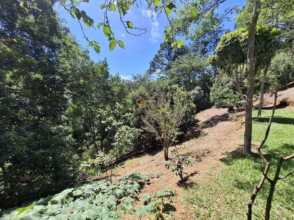 Casa à venda em Fazenda Alpina, Teresópolis - RJ - Foto 19