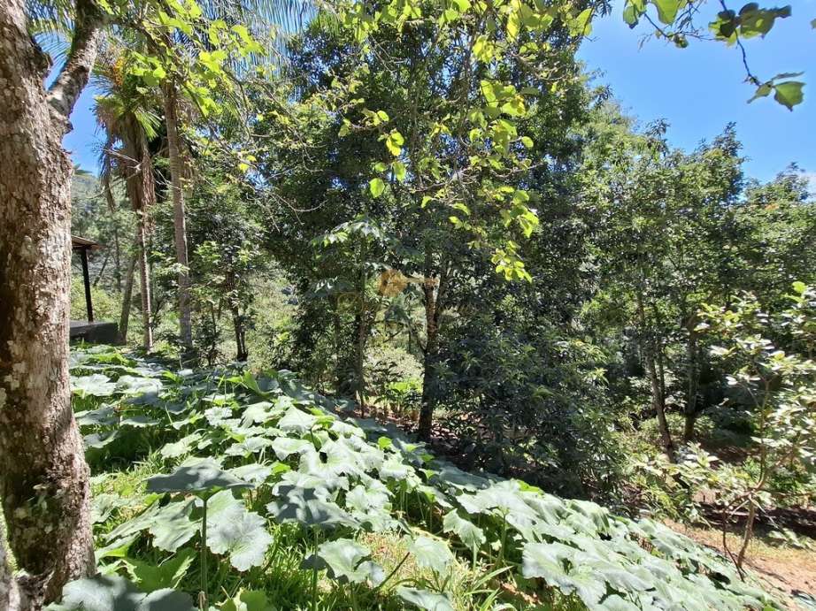 Casa à venda em Fazenda Alpina, Teresópolis - RJ - Foto 20